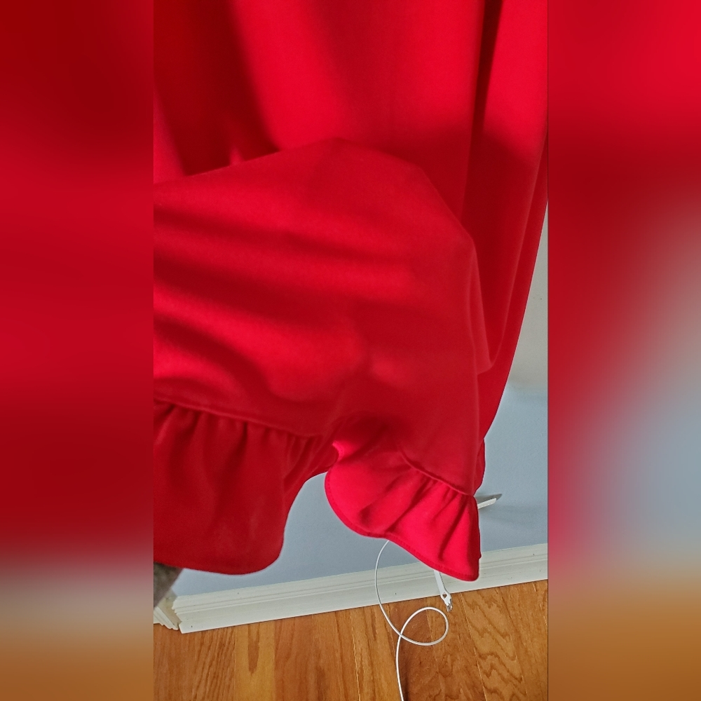 Express Red Ruffle Hum Dress - Picture 4 of 4